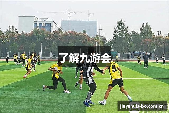 了解九游会